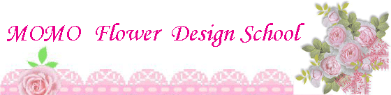 MOMO�t�����[�g�b�v�C���[�W